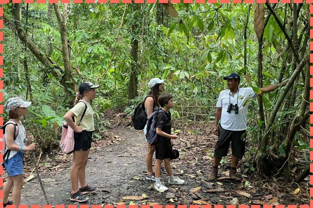 Guía turístico señalando y explicando la flora del Parque Nacional Tortuguero a la atenta familia Watson, destacando un jaguar entre la vegetación.