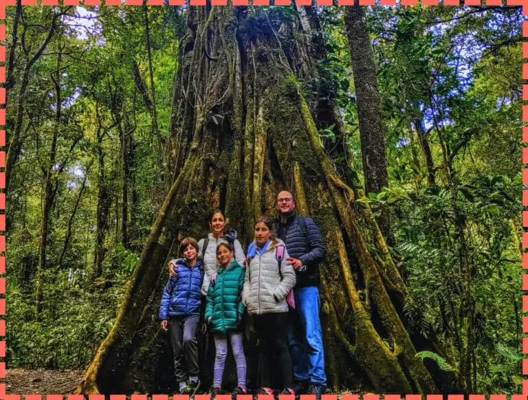 Explora La Reserva Biológica Bosque Nuboso Monteverde y Otras Reservas de la Zona 2024