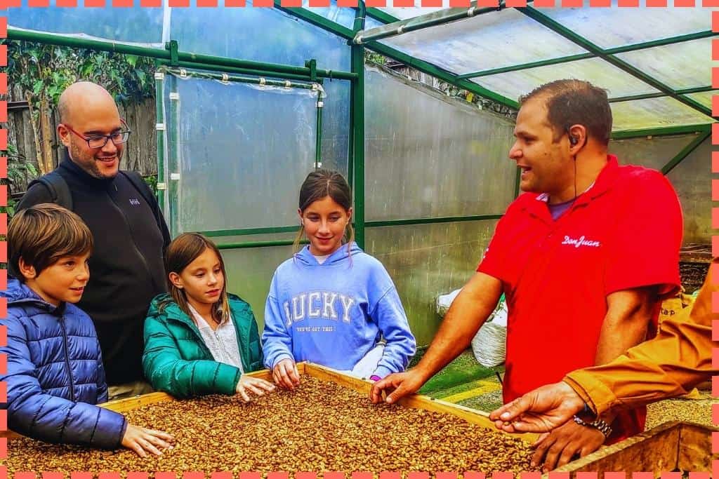 Guía de la Granja de Café Don Juan brindando una explicación sobre los granos de café a una familia, mientras todos exploran y tocan los granos de café con sus manos