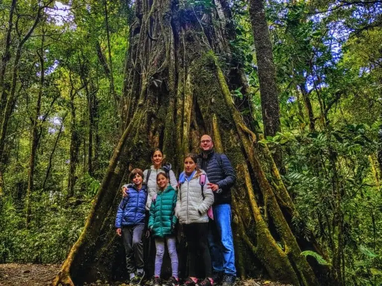 Familia frente a raices de árbol en el Bosque Nuboso de Monteverde