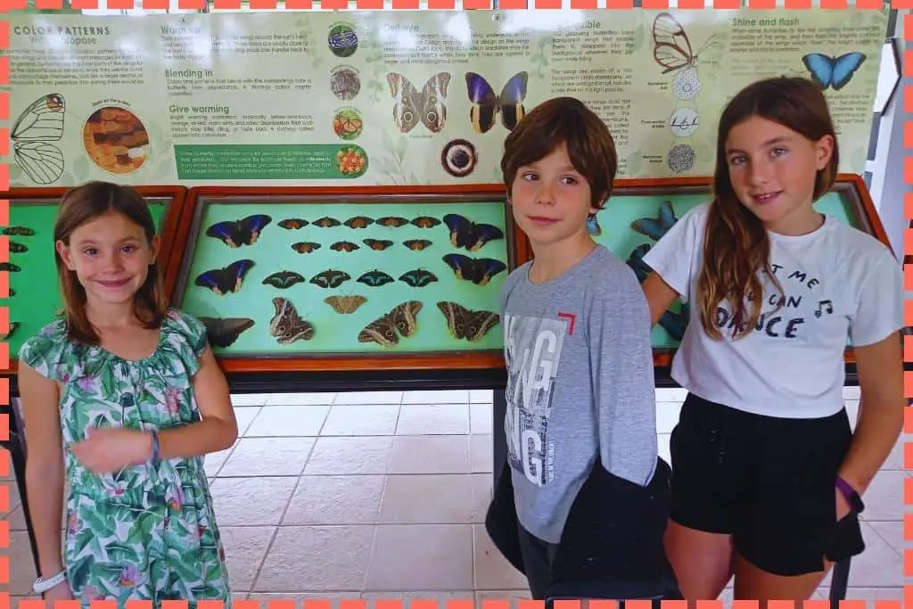 Tres niños frente a un cartel informativo de mariposas, con mariposas enganchadas debajo, en el Conservatorio de Mariposas de La Fortuna, Costa Rica.