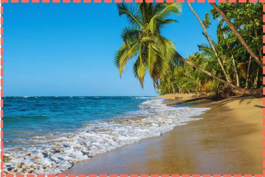 Imagen de la playa en la costa sur del Caribe de Costa Rica, con el mar, la arena y las palmeras que se inclinan hacia el agua.