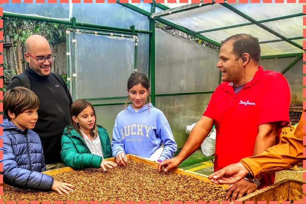 Foto de Tere Watson a su familia en una granja de café en Costa Rica, tocando los granos secos mientras escuchan atentos al guía durante la explicación.