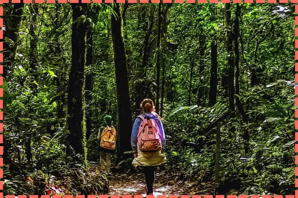 Dos niñas caminando por los senderos del bosque nuboso con mochilas colgadas en los hombros y abrigos atados a la cintura, rodeadas de altos árboles verdes y frondosos, en un camino de tierra en Costa Rica.