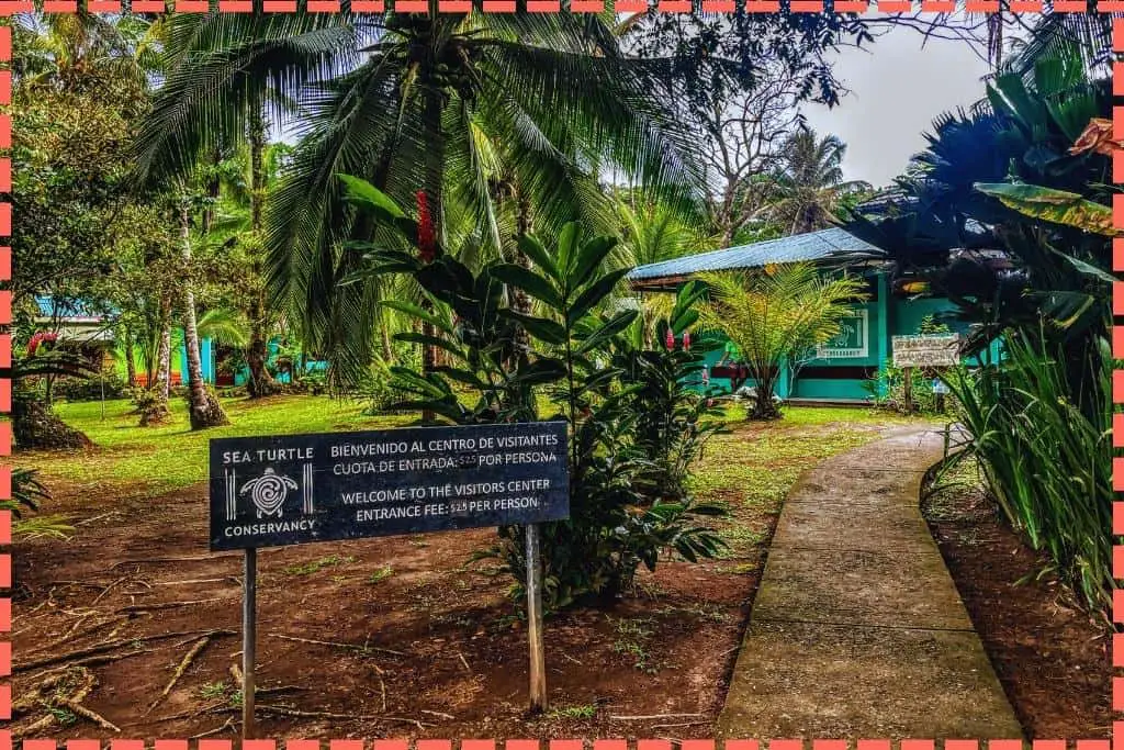 Foto del Museo de Tortugas de Tortuguero, una posible visita que hacer en Costa Rica.