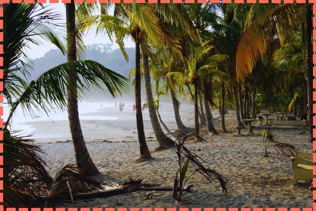 Vista de Playa Carrillo en Costa Rica, destacando las palmeras y mesas de concreto con visitantes disfrutando en el fondo.
