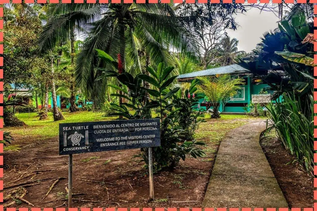 Entrada del Museo de Tortugas en Tortuguero, Costa Rica, enmarcada por una hermosa vegetación tropical, invitando a los visitantes a aprender sobre la vida marina local.