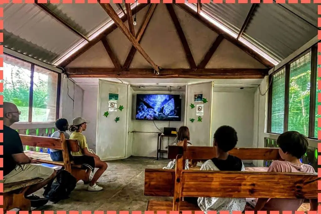 Familia junto a niños locales de Tortuguero, atentos viendo una película educativa en el Museo de Tortugas, fomentando la conciencia sobre la conservación marina.