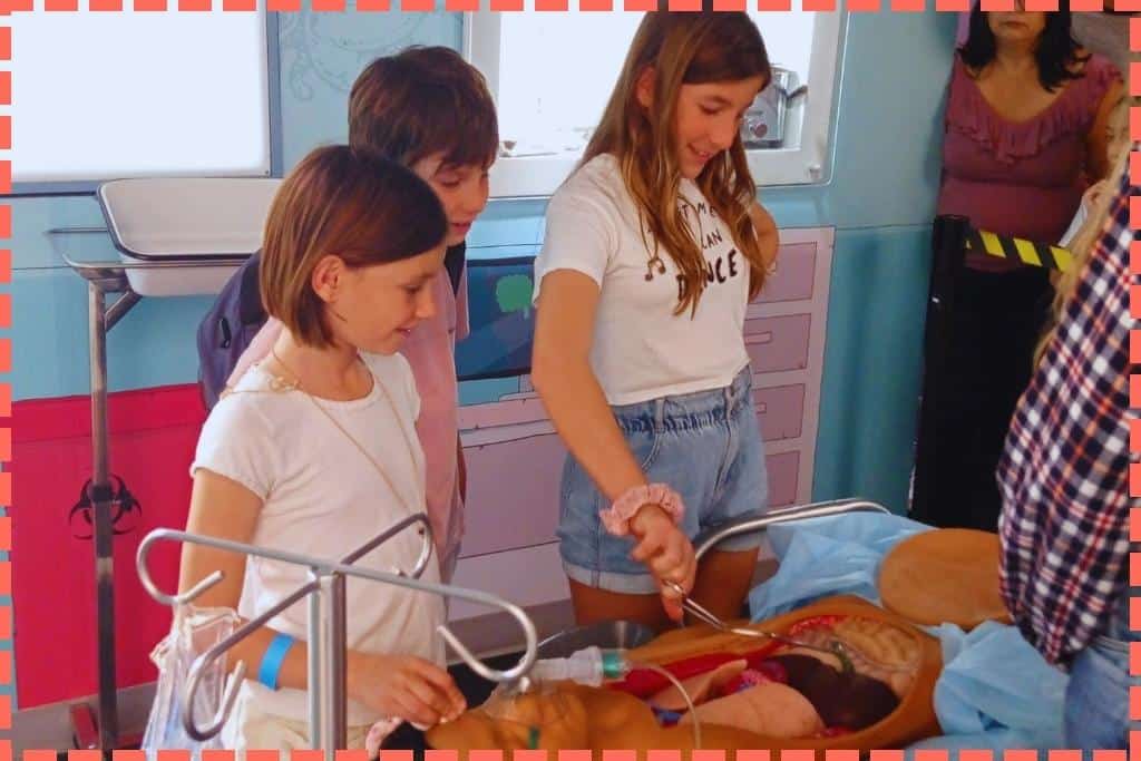 Tres niños interactuando en la sala de medicina del Museo de los Niños, mostrando curiosidad y aprendizaje al manipular un riñón de un muñeco de anatomía, explorando de manera práctica y educativa el cuerpo humano y sus órganos.