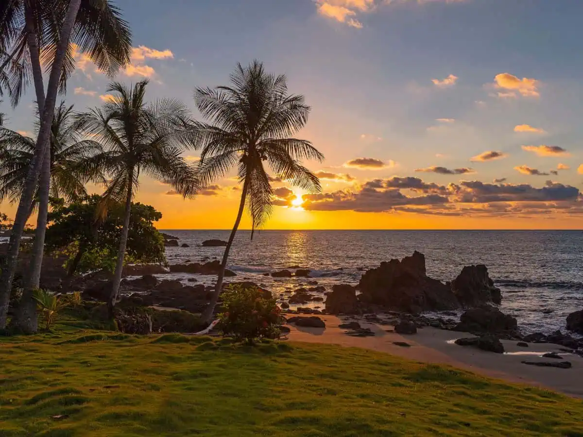 Foto par mostrar el clima en Costa Rica. Atardecer soleado con algunas nubes en la playa, con palmeras.