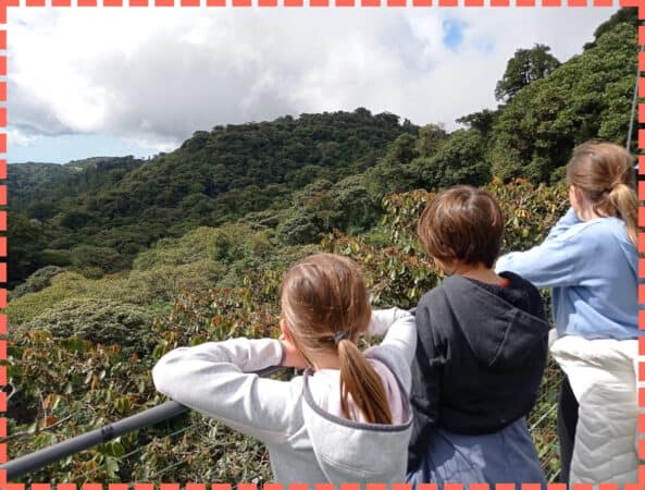 Mis 3 niños mirando desde un puente colgante el bosque nuboso de Monteverde.