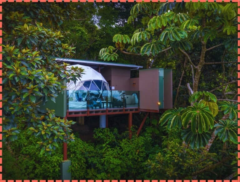 Donde Alojarse en Monteverde Costa Rica. Mejores Hoteles 2024